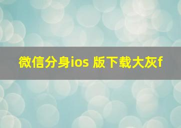 微信分身ios 版下载大灰f